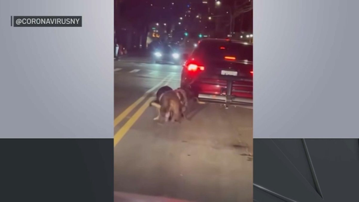 Queens man dragged leashed dogs behind his car, video shows – NBC New York