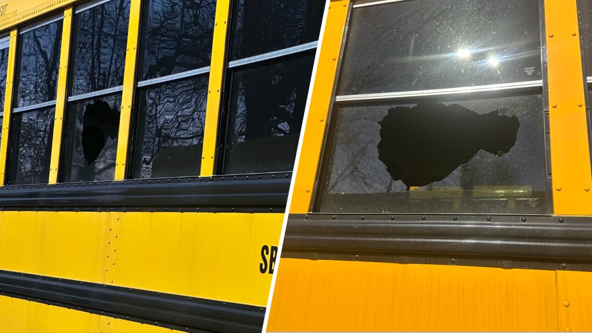 Someone launched a rock at a school bus as it moved along the New Jersey Turnpike earlier this week, shattering a window and seriously injuring an 8-year-old...