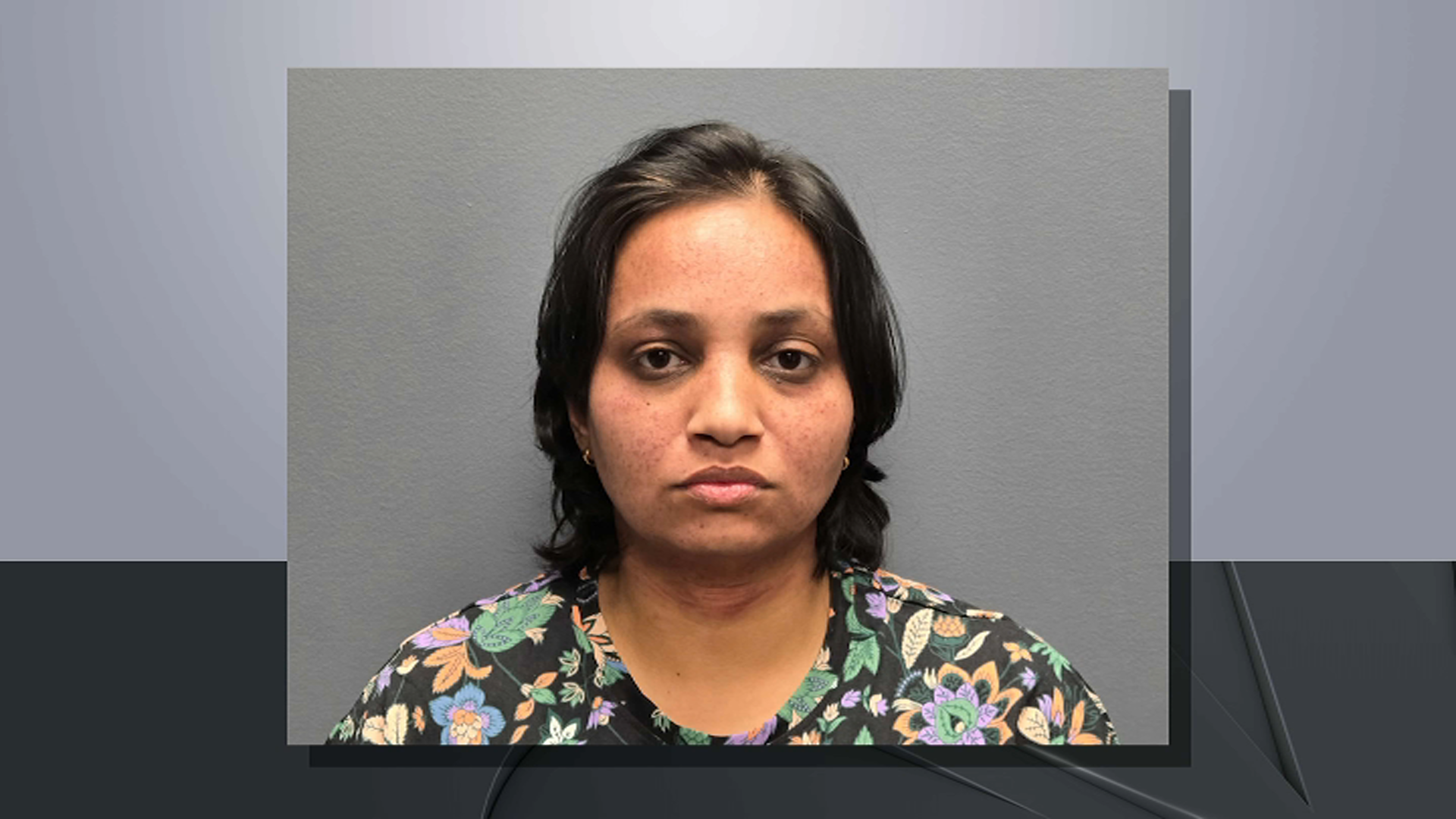 mom arrested hillsborough child deaths