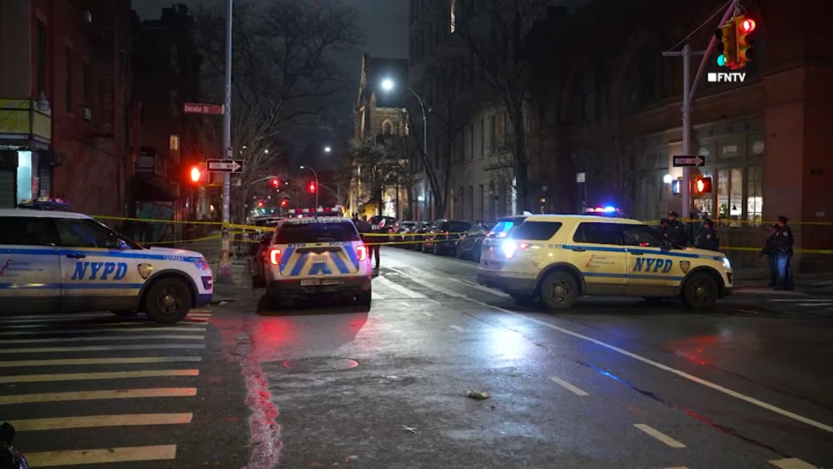 Daughter finds 85-year-old mom stabbed to death in NYC home