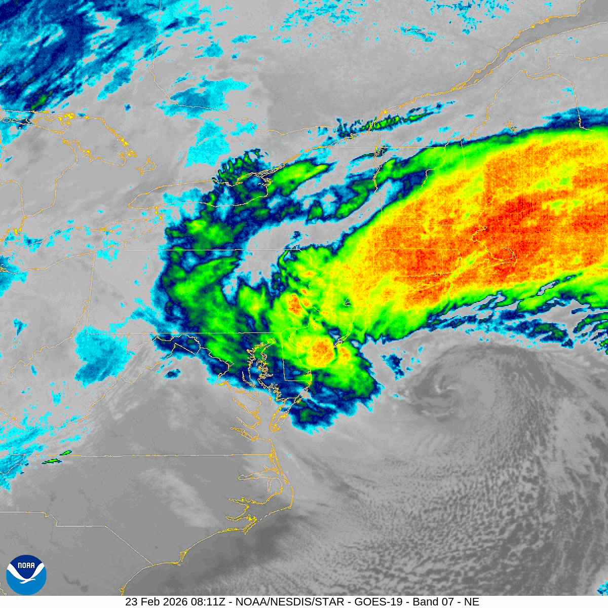 Live updates: Blizzard conditions grind NYC area to a halt; see latest snow totals