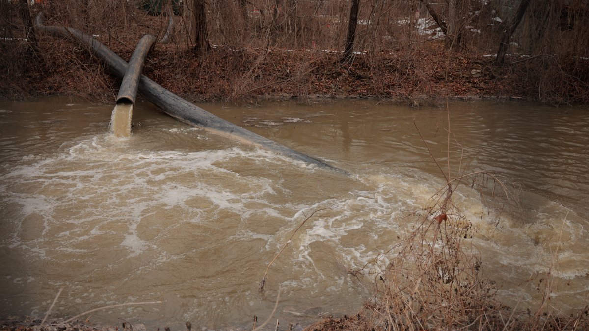 NBC News NYC sewer emergence photos What Happens Next?