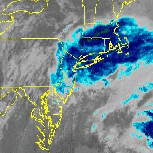 NYC and New Jersey Snow Totals Reach One Foot Amid 2026 Blizzard Travel Bans