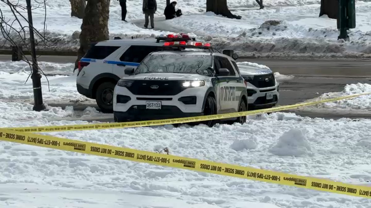 The Central Park body was found after a blizzard, though it's not clear if the storm played a role.