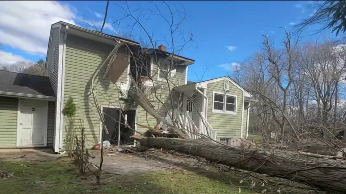 70 mph winds knock down trees, power lines across NJ – NBC New York