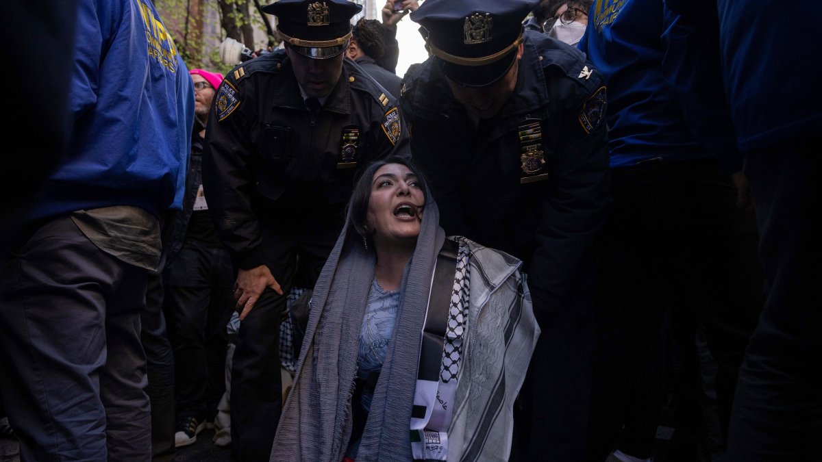 Alleged plot to firebomb Palestinian activist's home disrupted by NYPD undercover operation