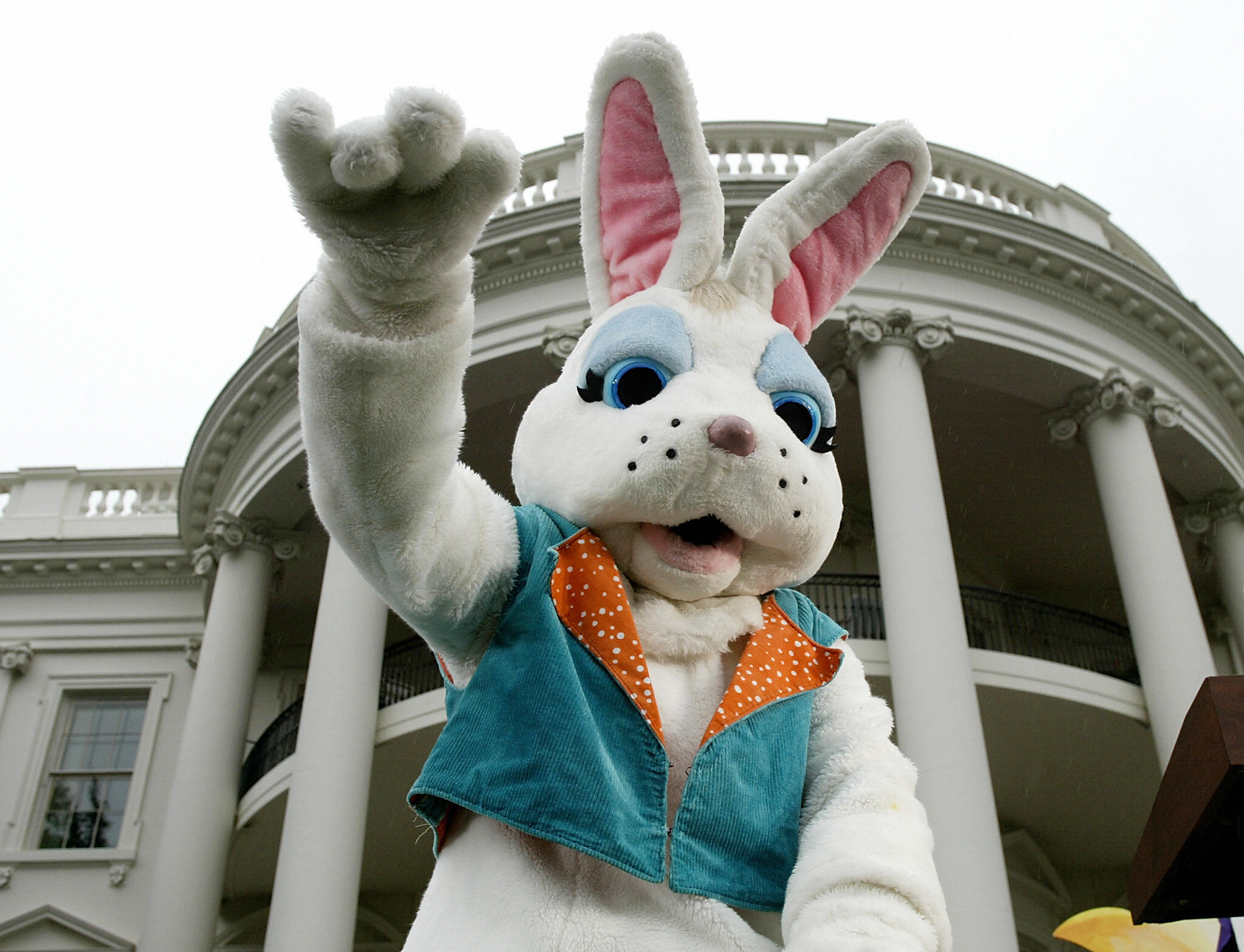 Is the Easter Bunny real? How to talk to kids about it – NBC New York