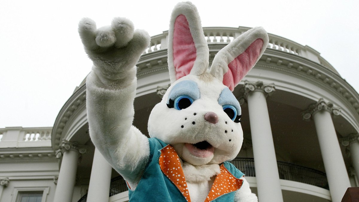 Is the Easter Bunny real? How to talk to kids about it – NBC New York