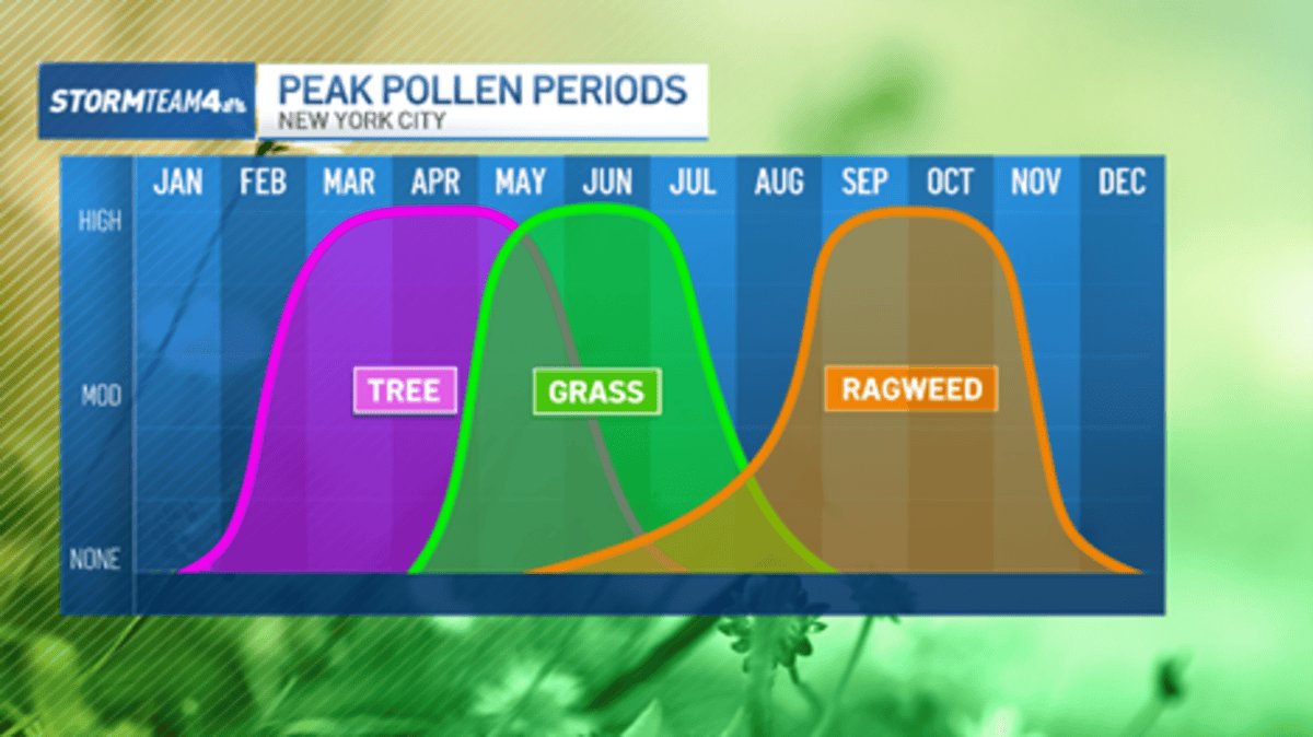 Warm weather is back, and so is allergy season. We may not get a break until summer
