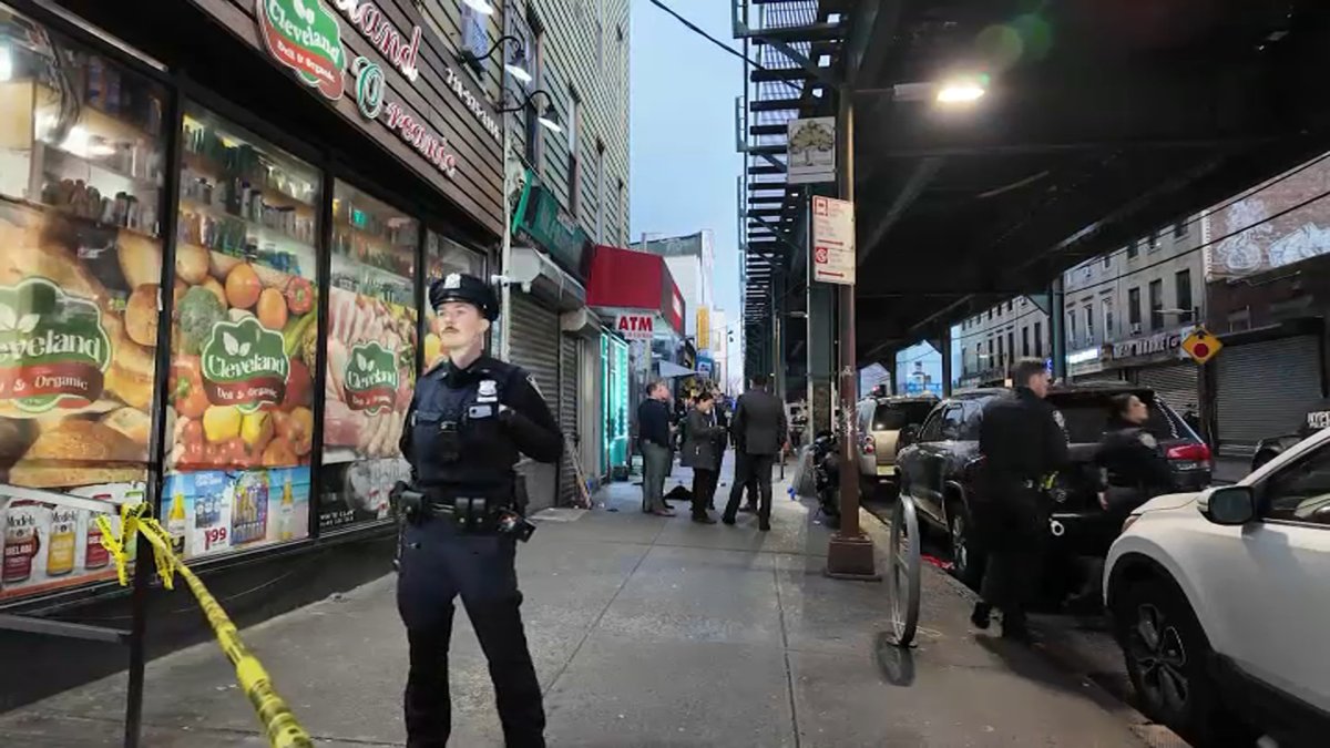 1 Dead, 1 Critical in Cypress Hills Brooklyn Double Shooting