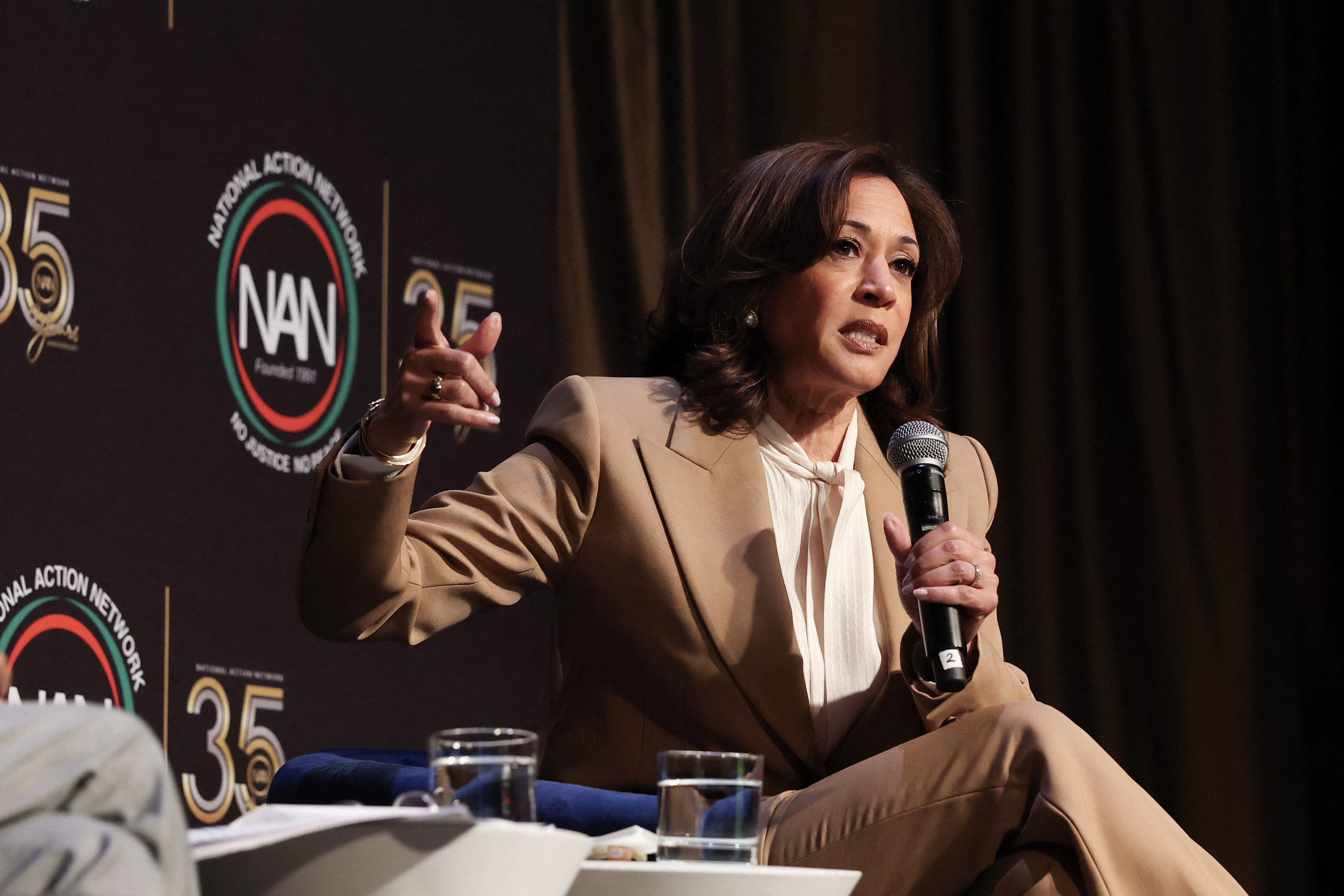 Kamala Harris to Al Sharpton on if she will run for president again: ‘I might'