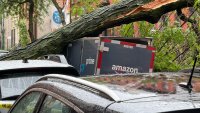 A tree slammed into an Amazon delivery truck Sunday in Hell’s Kitchen