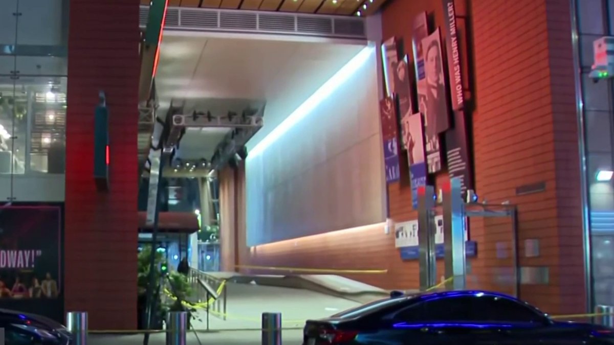 ‘Mess with crackheads' social media trend inspired Times Square killing, teen suspect says