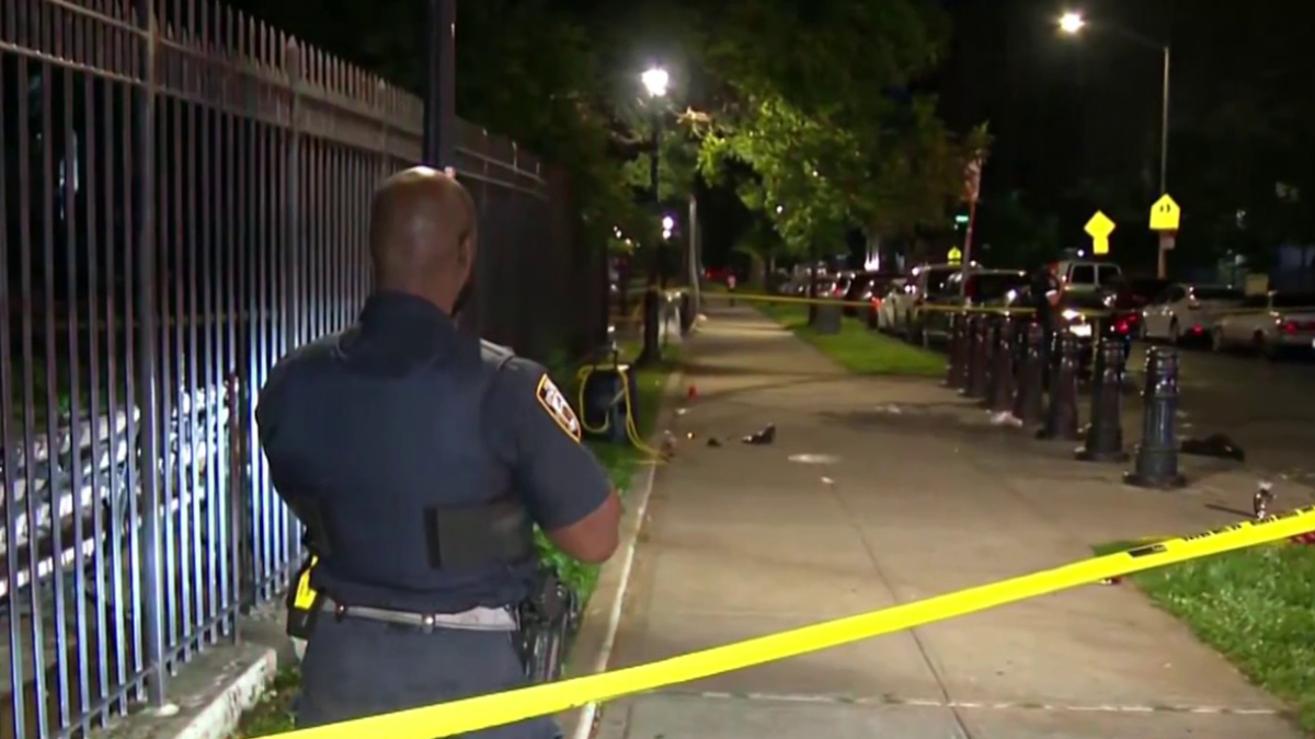 23-Year-Old Woman Killed in Shooting Outside Bronx Playground