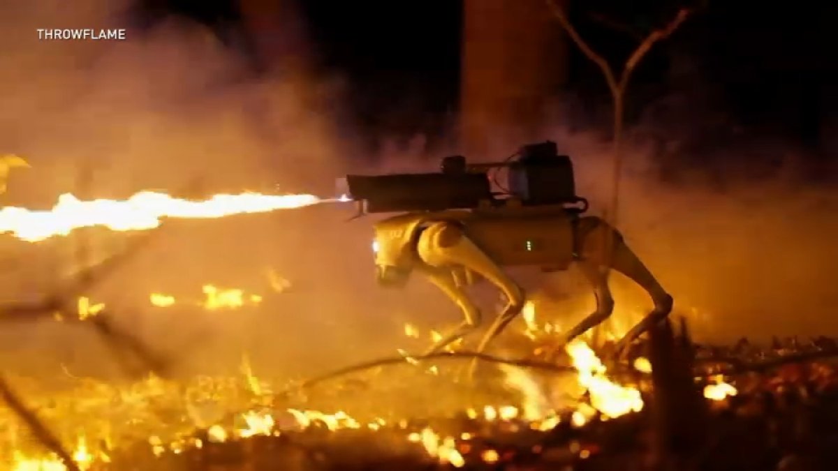 I-Team: Should NY ban robots from carrying flamethrowers and firearms?