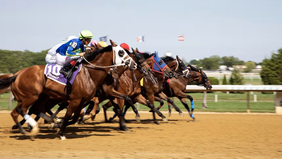 A cortina de 132 anos cai sobre a corrida de cavalos de Nova York – NBC New York A cortina de 132 anos cai sobre a corrida de cavalos de Nova York – NBC New York
