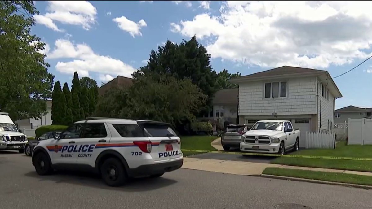 Man stabbed to death inside his Long Island home; woman taken into ...