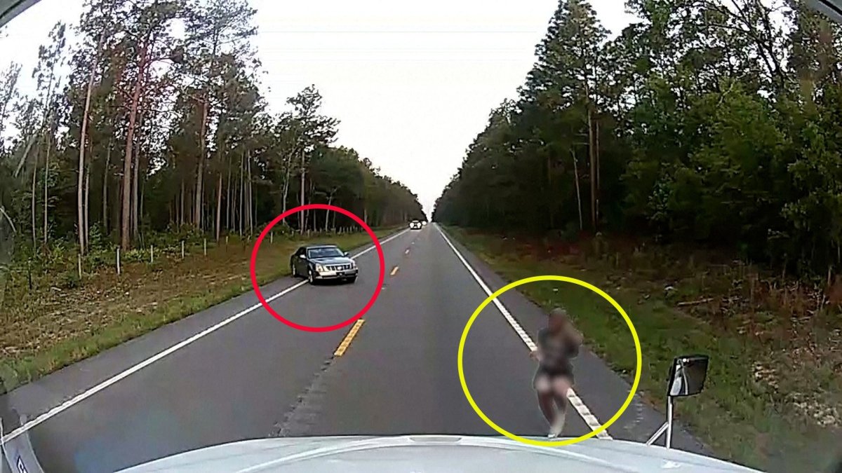 Motorista de caminhão resgata mulher após sequestro na Carolina do Sul – NBC New York