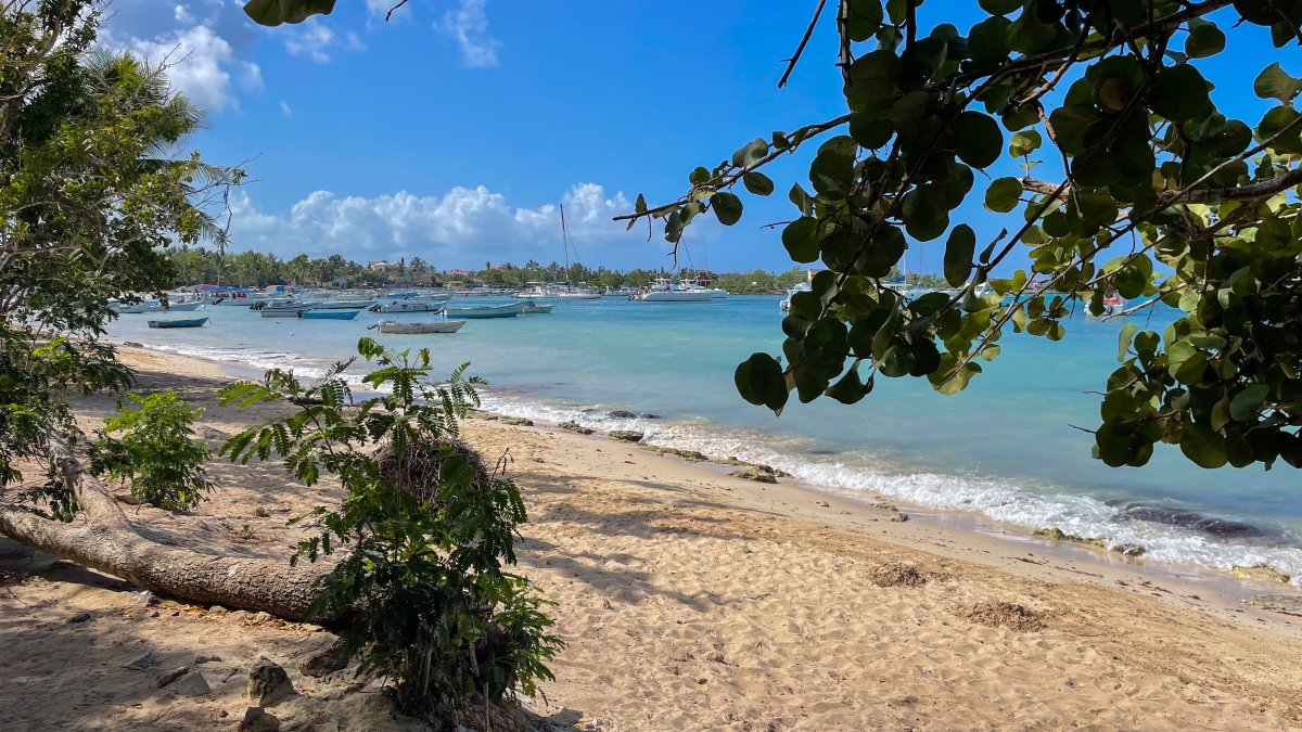 Grande incêndio destrói resort na República Dominicana – NBC New York Grande incêndio destrói resort na República Dominicana – NBC New York