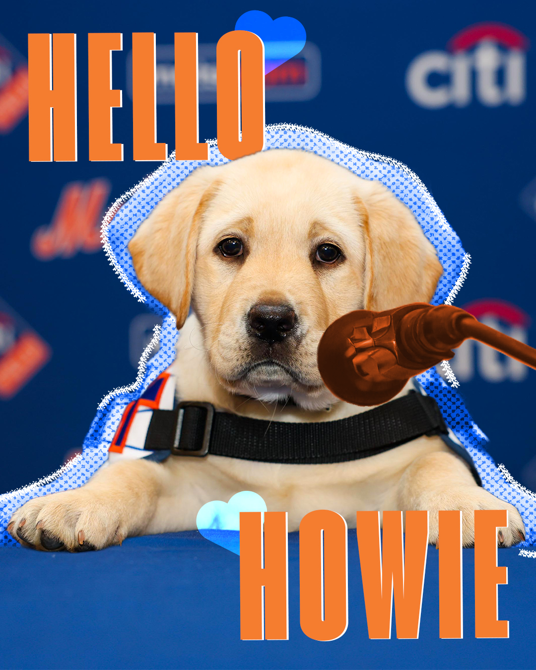 Mets hit home run with Howie the service dog – NBC New York