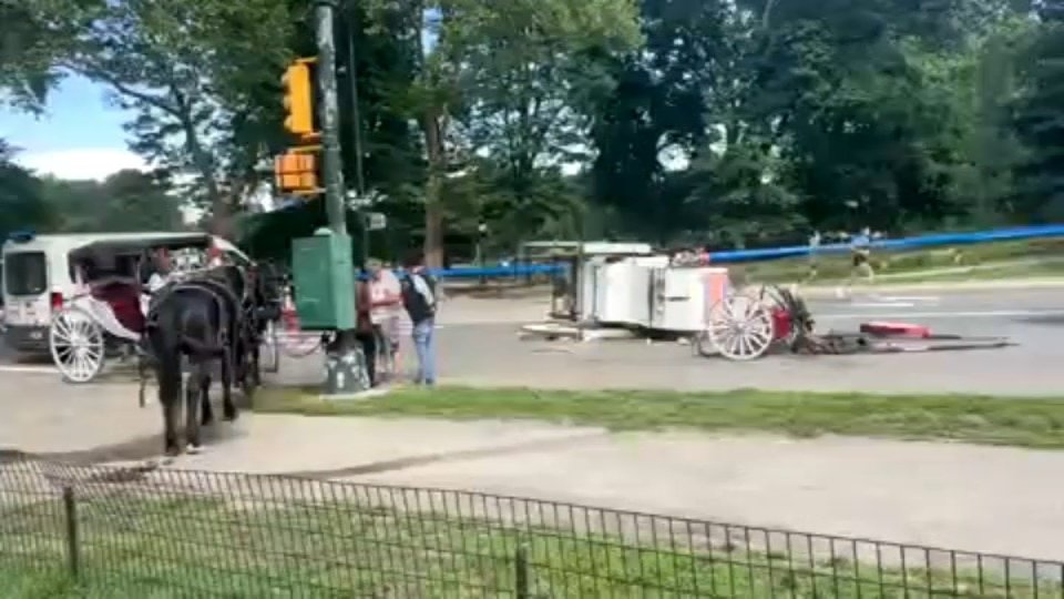 Passenger critically hurt after tossed from runaway carriage horse in Central Park