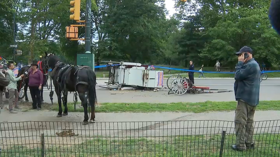 Horse carriage rides shut down after deadly Central Park crash