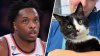 How Knicks' OG Anunoby is helping NYC shelter cats find their forever homes