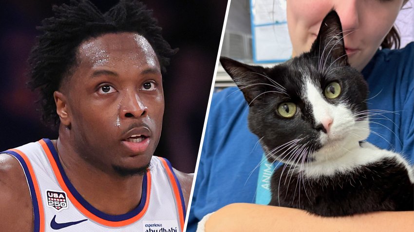 OG Anunoby