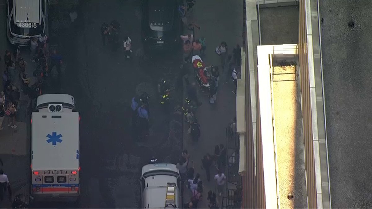 Hotel em Lower Manhattan evacuado devido a incidente com spray de urso – NBC New York Hotel em Lower Manhattan evacuado devido a incidente com spray de urso – NBC New York