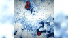 NYC investigating cyclosporiasis spike as CDC provides update on U.S. outbreak