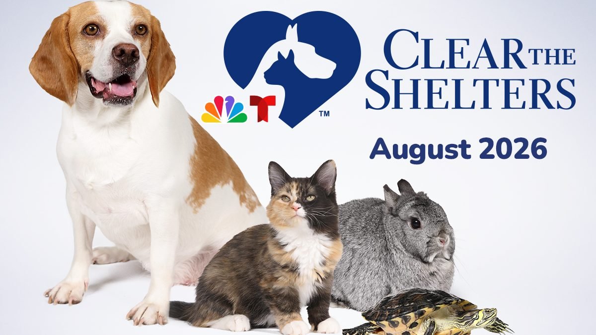 NBC’s Clear The Shelters returns for 12th campaign: What to know – NBC ...