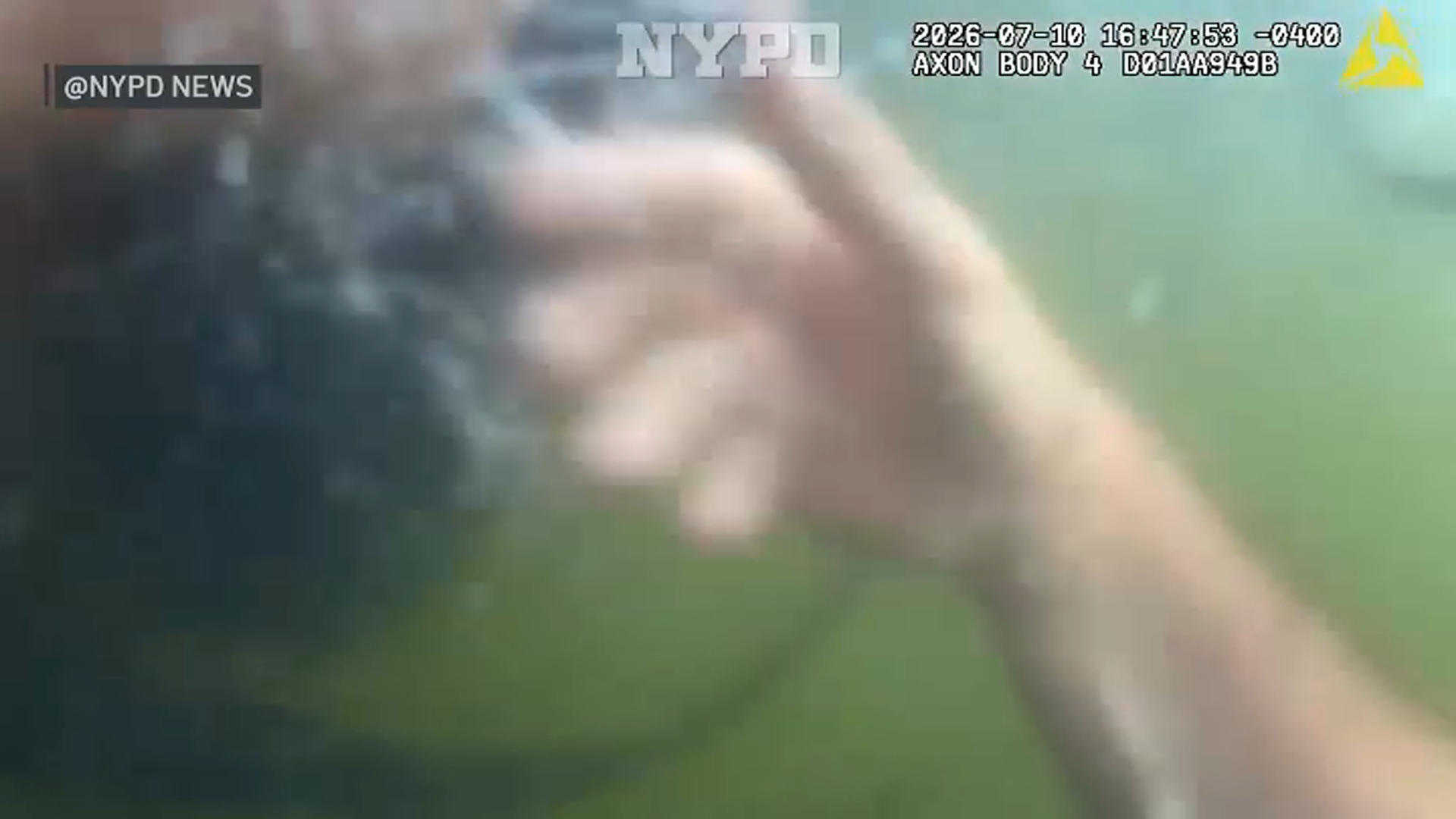 A helping hand: police rescue woman from creek in Queens