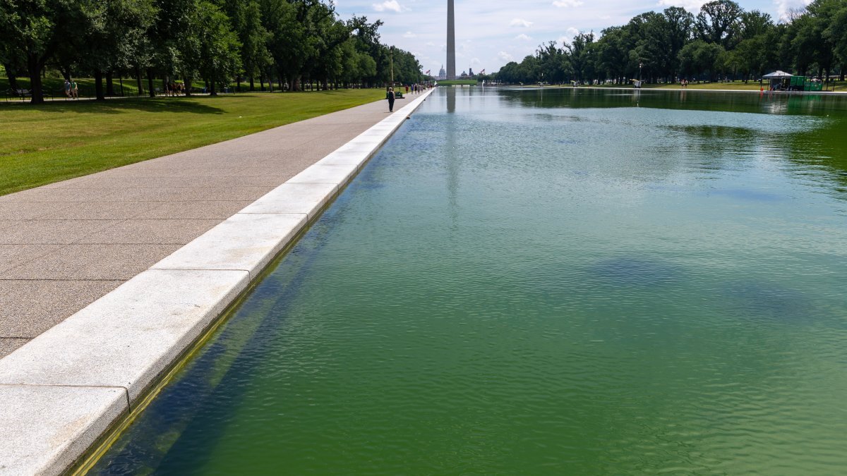 Ex-atleta olímpico no caso do Reflecting Pool busca transcrição do júri – NBC New York