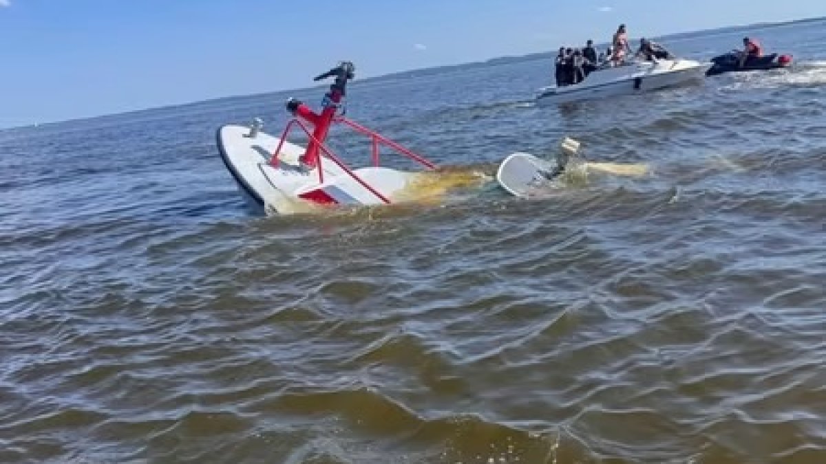 Baleia bate em barco de bombeiros em Carteret, NJ – NBC New York