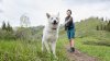 Walking your dog can be a full-body workout. Get stronger with this move, trainer says