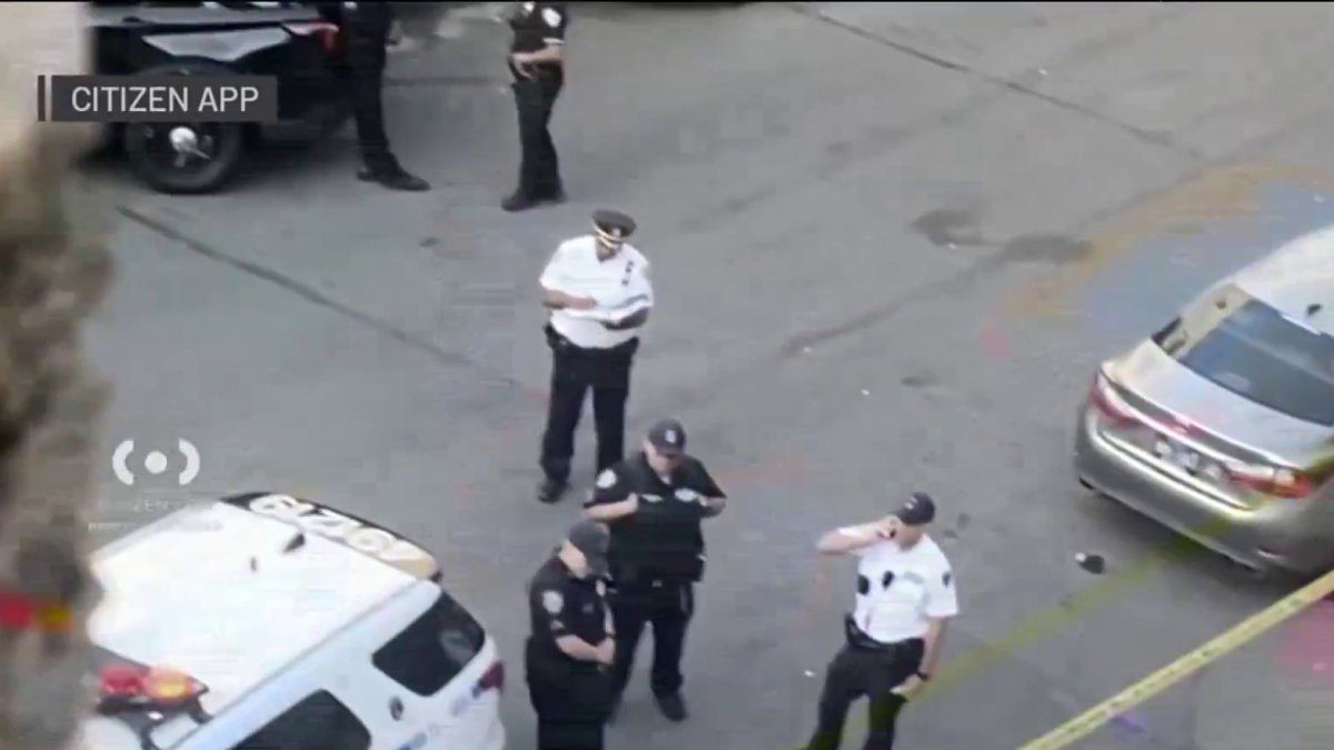 Police search for drivers in deadly NYC hit and runs