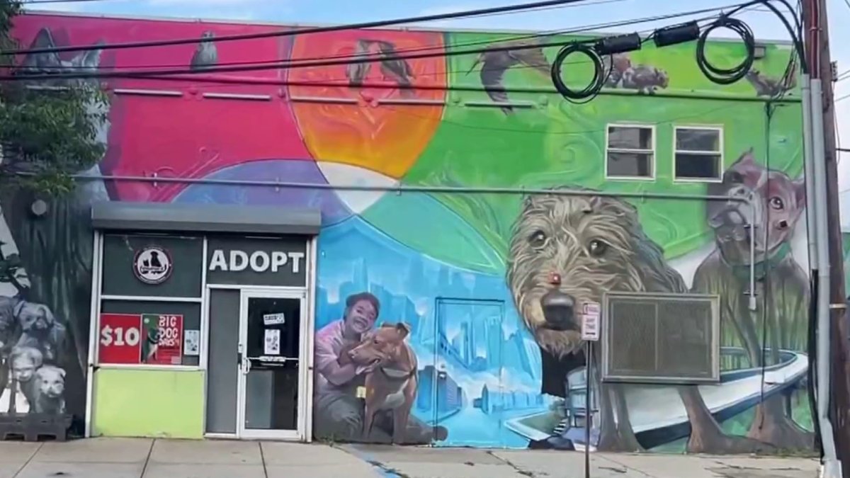 Inside Jersey City's animal care and control