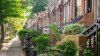 This street was named the ‘Greenest Block in Brooklyn'. Again