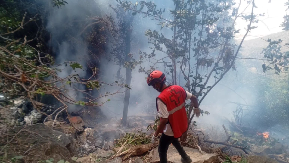 GM of Telemundo stations in Florida among 5 Americans killed in Kenya helicopter crash