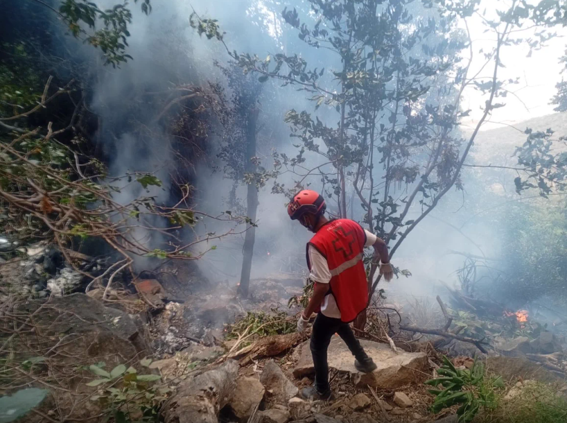 President of Telemundo stations in Florida among 4 Americans killed in Kenya helicopter crash