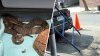 Snake found inside pipe at Upper West Side construction site