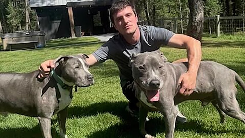 Josh Hutcherson with his rescue dogs Manchi and Driver.