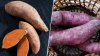 Japanese sweet potatoes vs. orange sweet potatoes: Which is healthier? A dietitian explains
