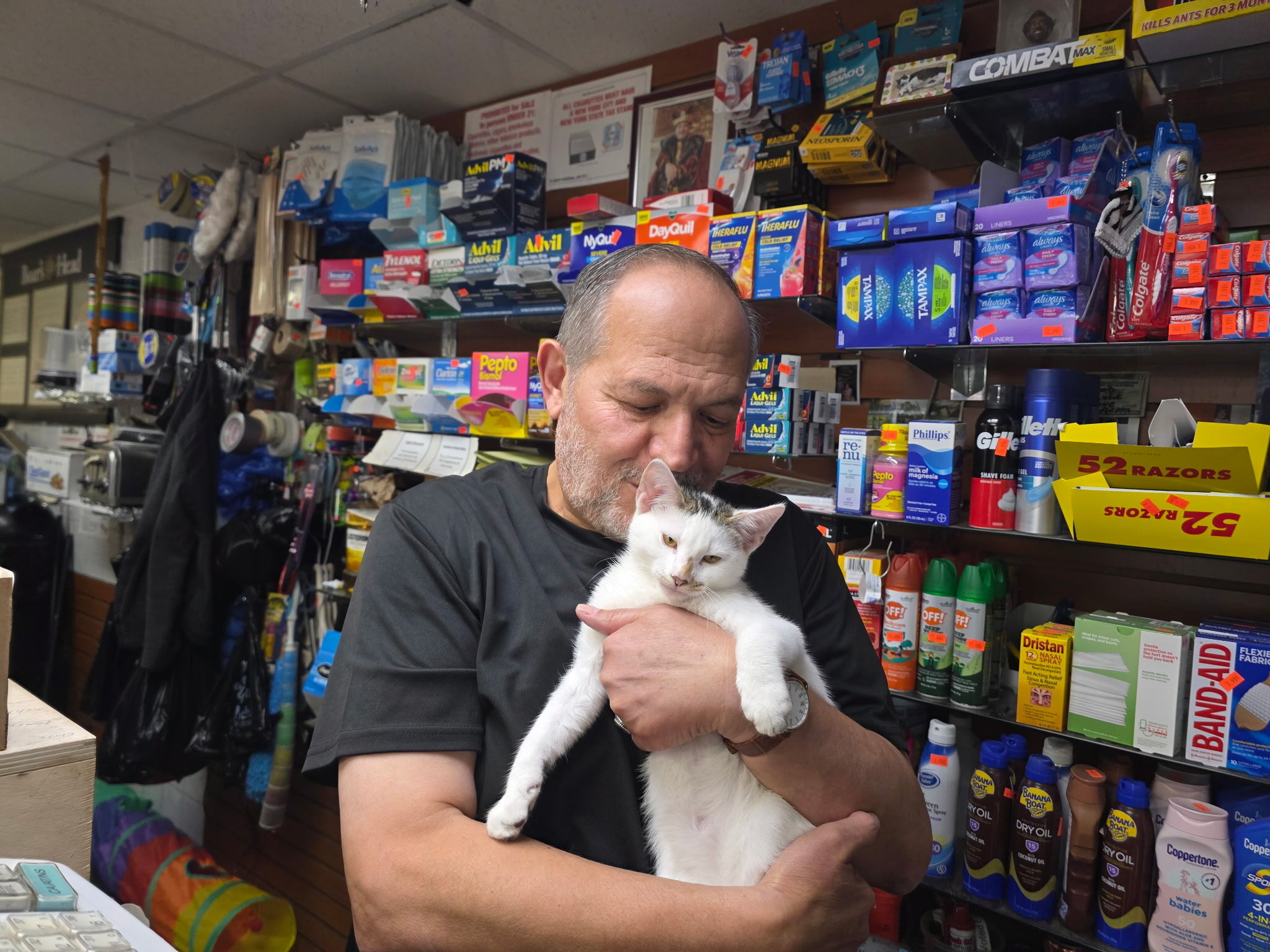 ‘Tears of joy': Jabal, beloved Brooklyn bodega cat, returned after community uproar