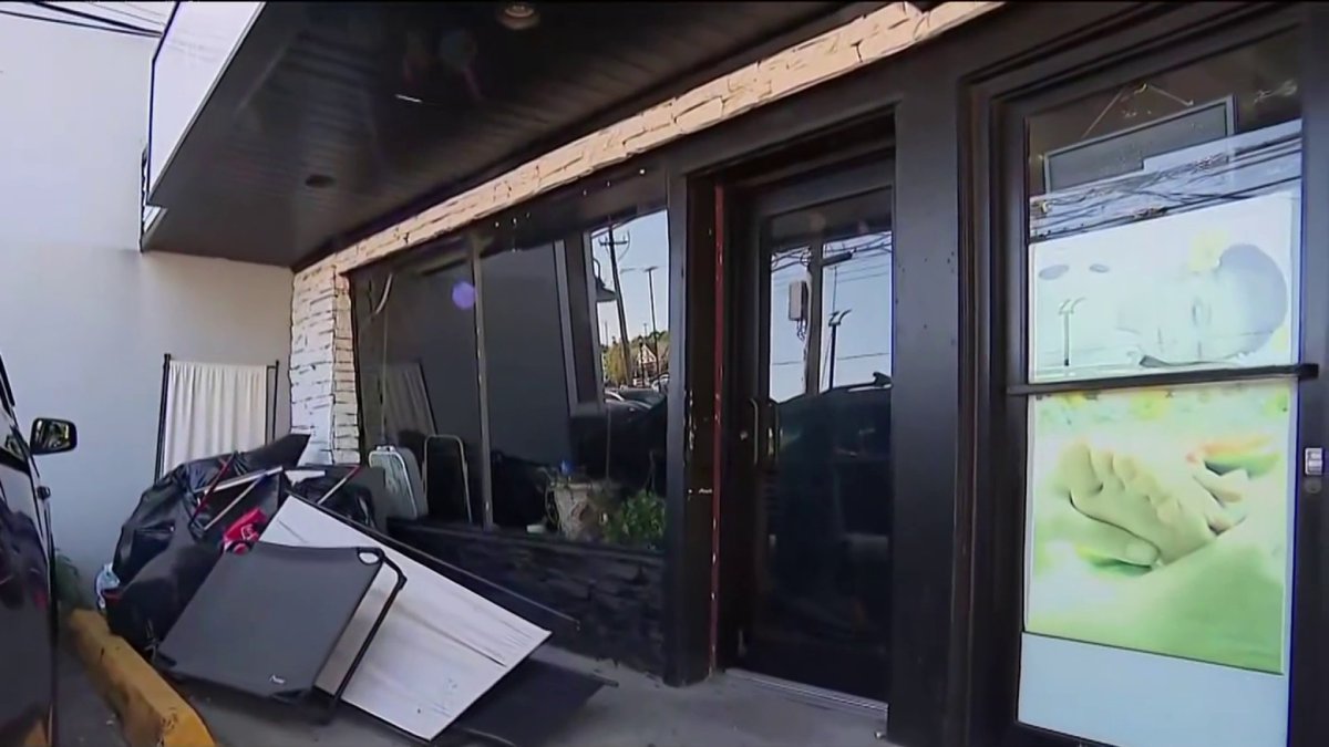 Owner defends care after dogs found in filthy Long Island building