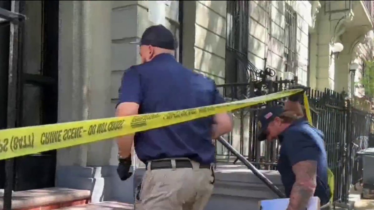 Assault News Image