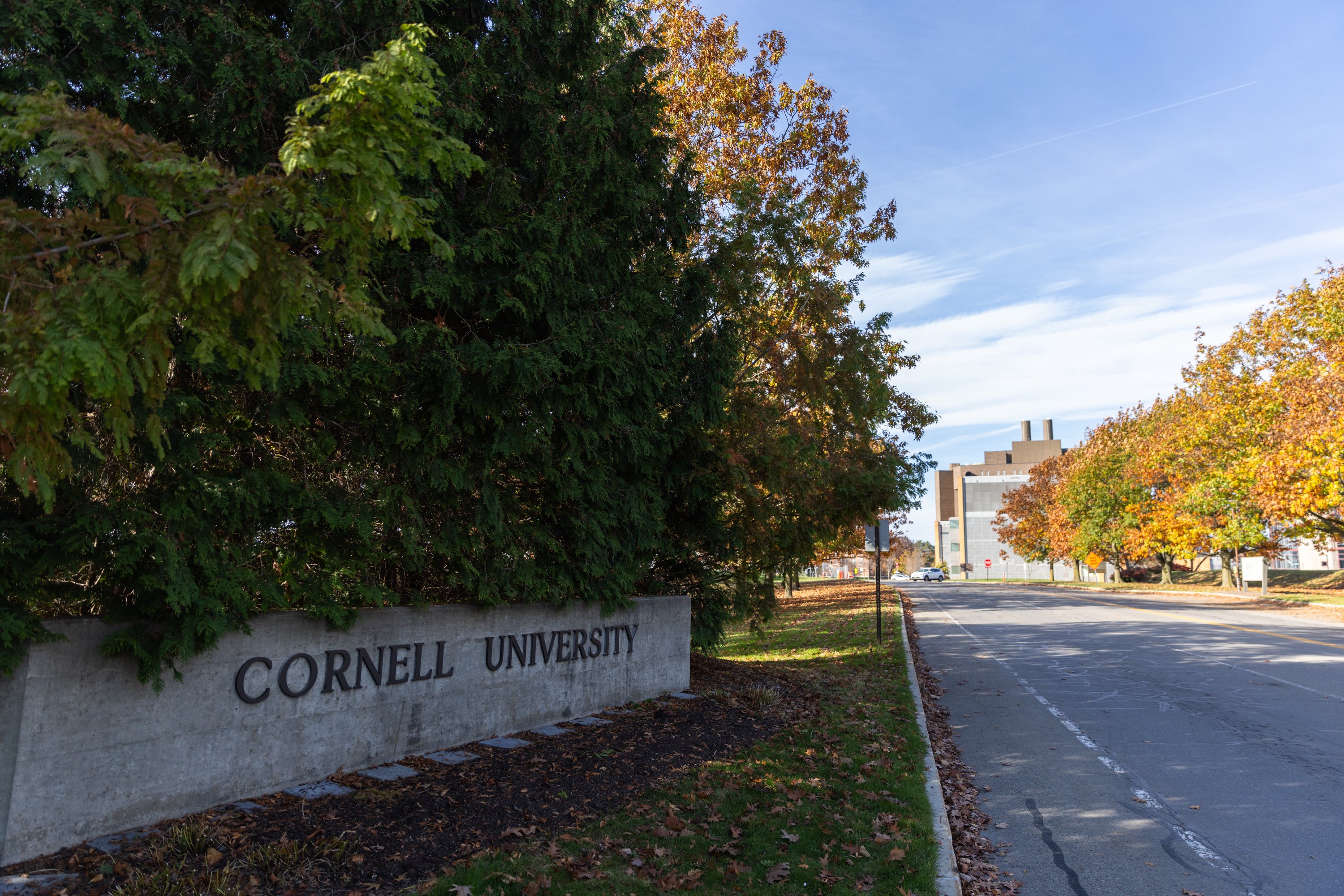 Gov. Hochul pushes for investigation into Cornell's handling of alleged 2024 gang rape