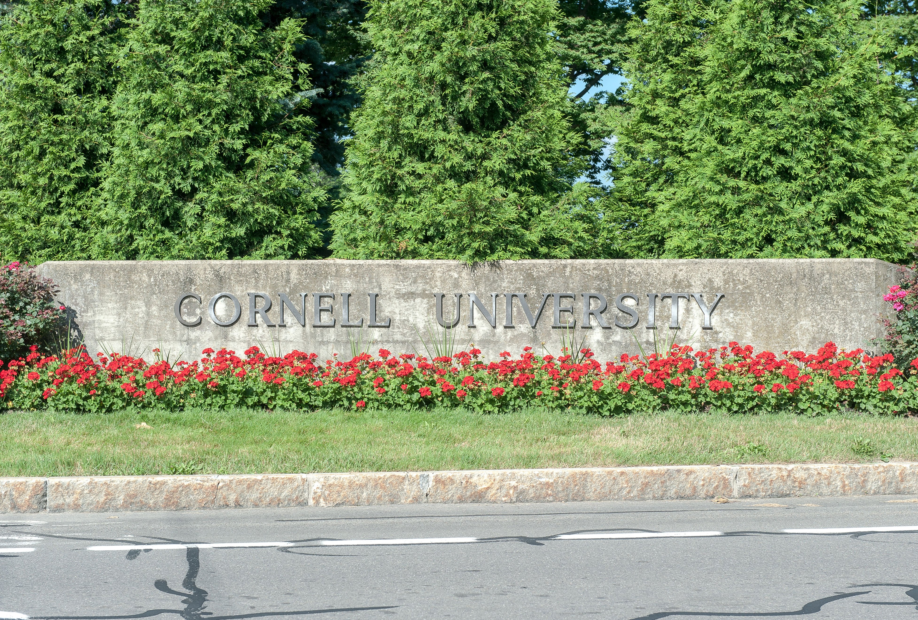 Prosecutor reopens probe into alleged Cornell gang rape after accuser files lawsuit