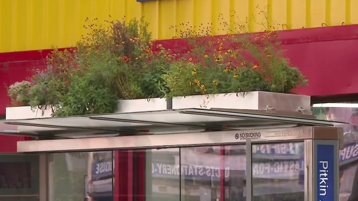 Can bus stop gardens help reduce flooding and keep commuters cool? NYC hopes so