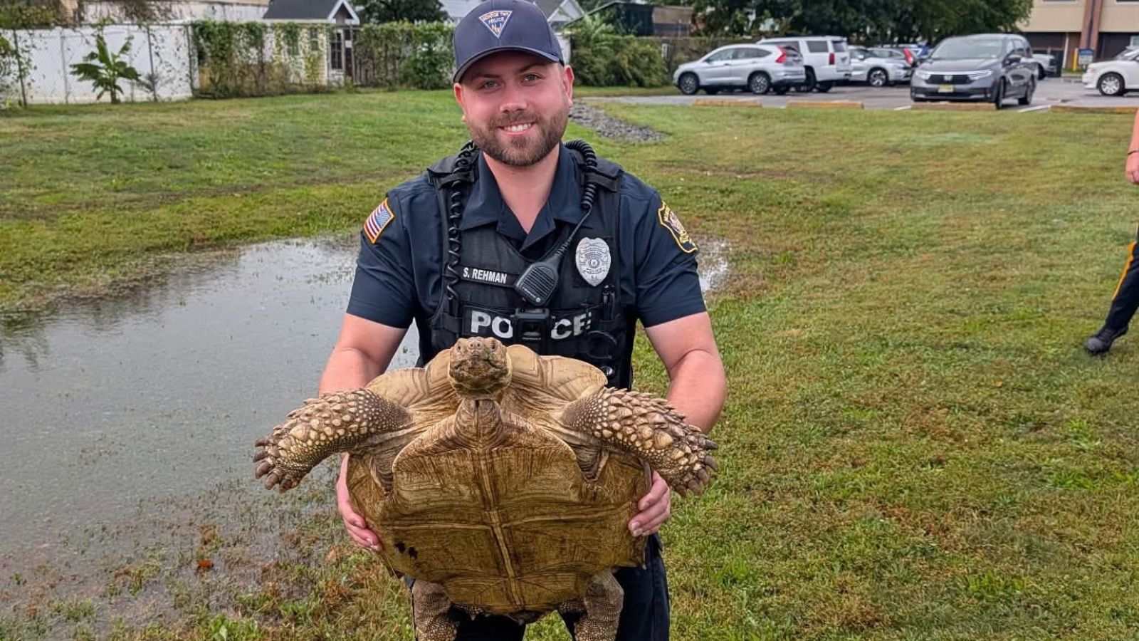 Slow-speed chase ends with tortoise ‘in custody’ in New Jersey – NBC ...